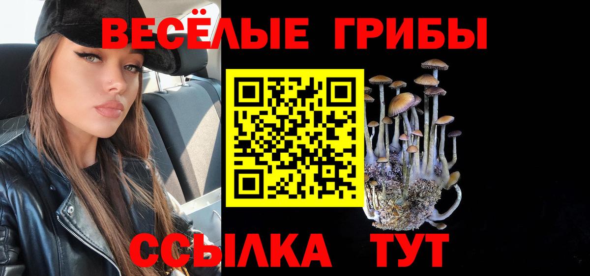 Псилоцибиновые грибы Cubensis  Вход с VPN  магазин    Тайшет 